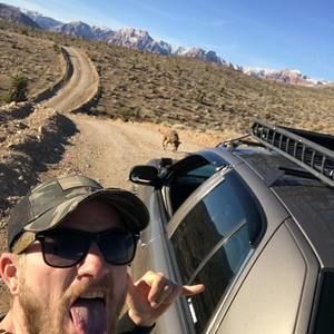 Meet your Posher, Cody